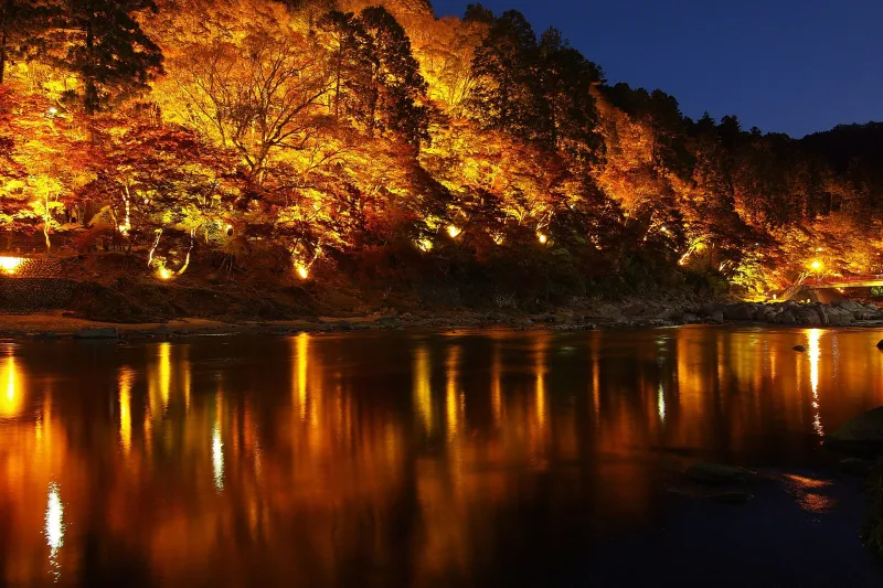 Autumn leaves illuminated at Kōrankei in Aichi Prefecture.