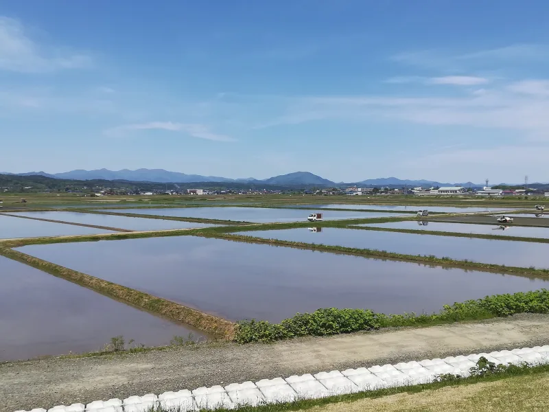 Rice planting in fields across the Takanosu basin