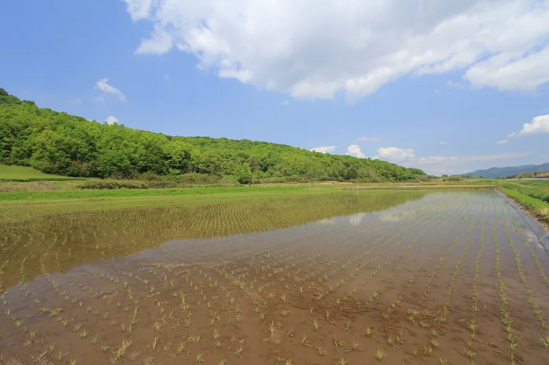 Rural fields and countryside near Kimoto in Sakuragawa, Ibaraki Prefecture