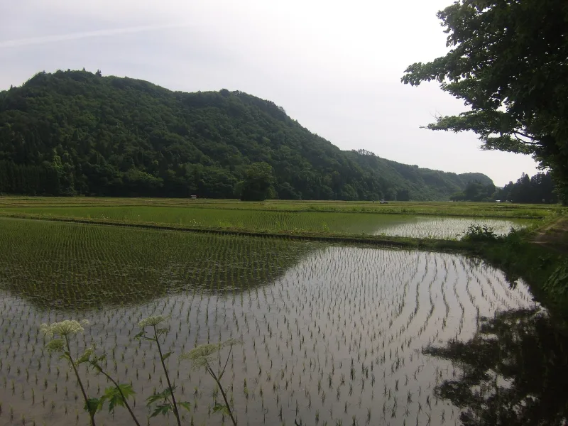 Rural fields and mountain scenery in Hondera, Ichinoseki