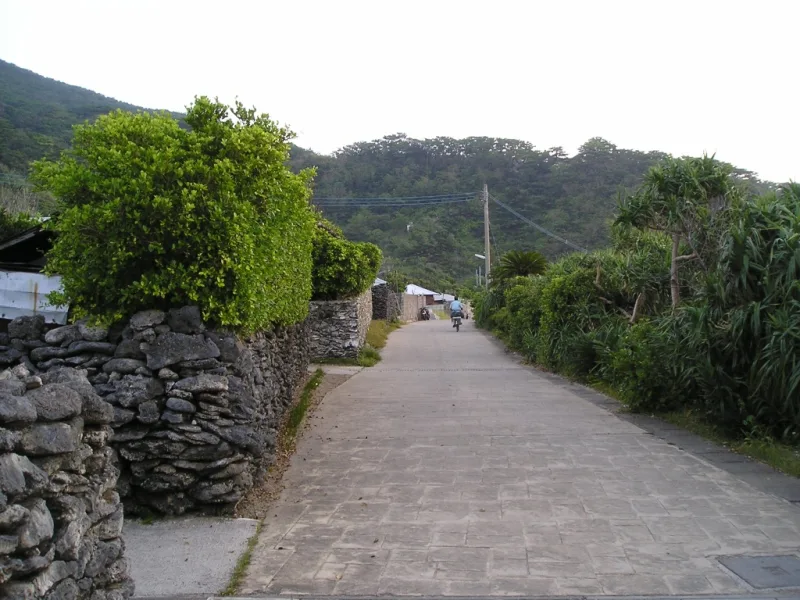 A village on Yoro Island, with houses bordered by distinctive coral-stone walls.