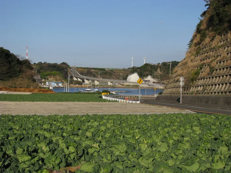 A landscape in Miura, Kanagawa Prefecture
