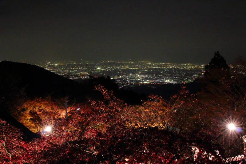 Night view from Oyama Afuri Shrine in Kanagawa Prefecture