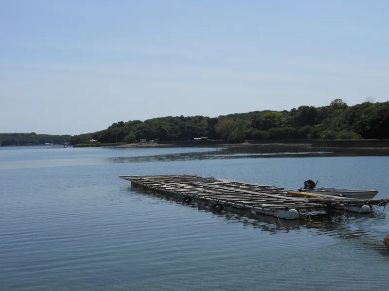 Pearl cultivation rafts on the waters of Ago Bay near Tategami