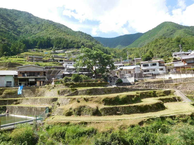 Rice terraces in Nanairo, Totsukawa village