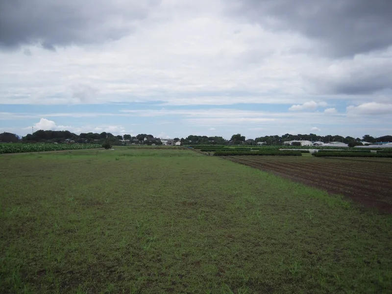 A rural landscape in Santome Shinden, Tokorozawa, Saitama