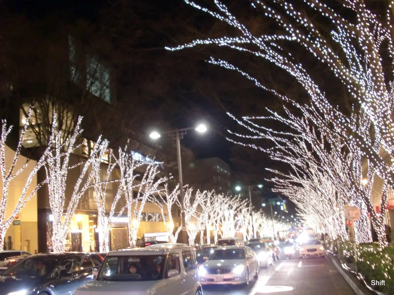 Illuminated trees lining Omotesando at night.