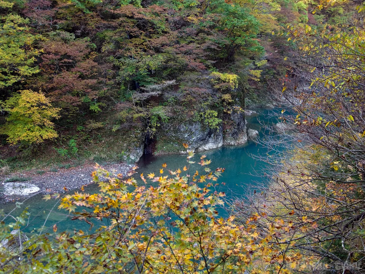 Blue-green river winding through autumn forest in Dakigaeri Gorge, Akita