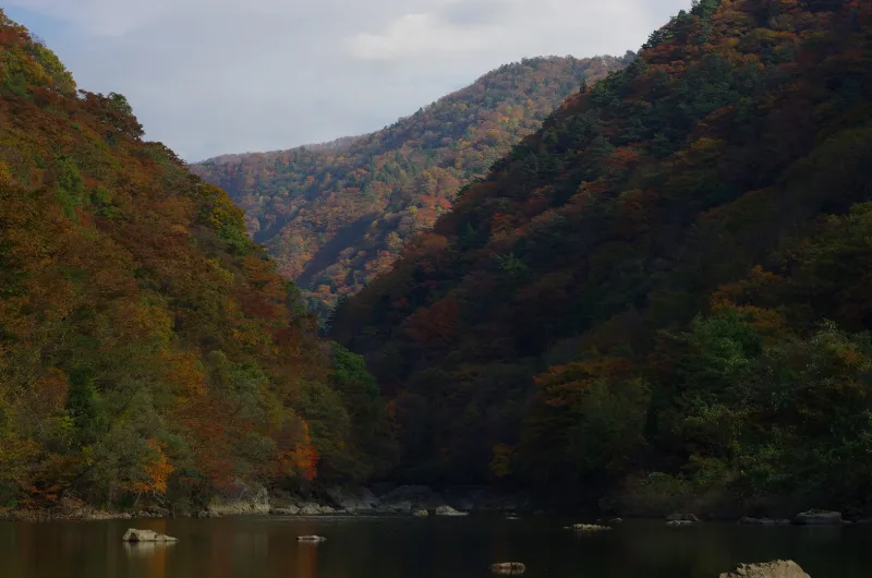 Red Kami-no-Iwahashi suspension bridge over Dakigaeri Gorge among autumn trees