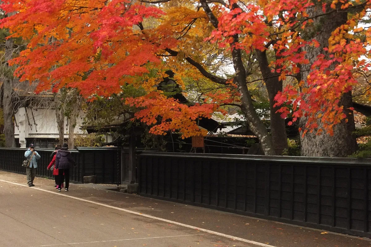 Black wooden fence of the Aoyagi samurai house under red autumn maples in Kakunodate