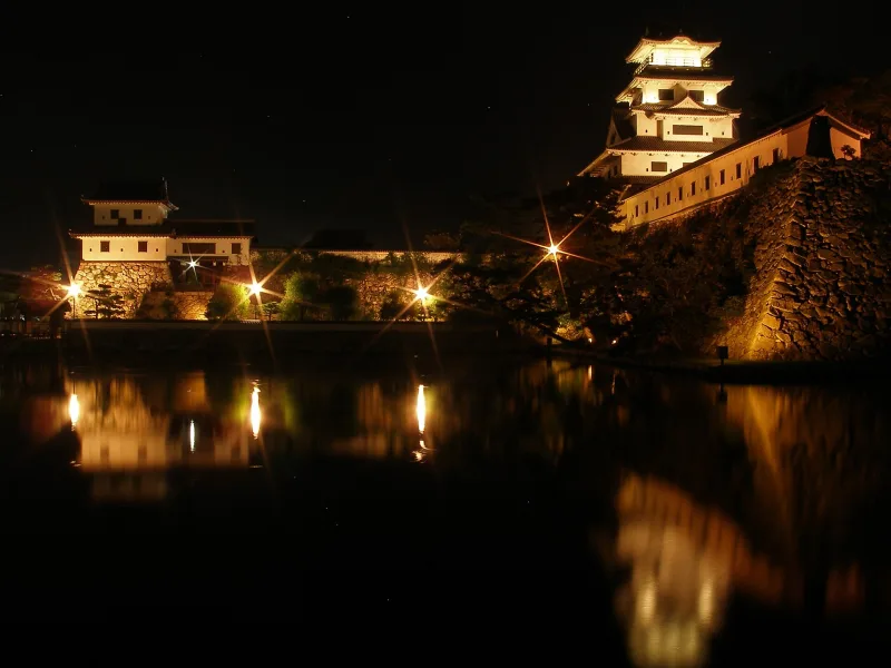 Imabari Castle lit up at night and reflected in the moat