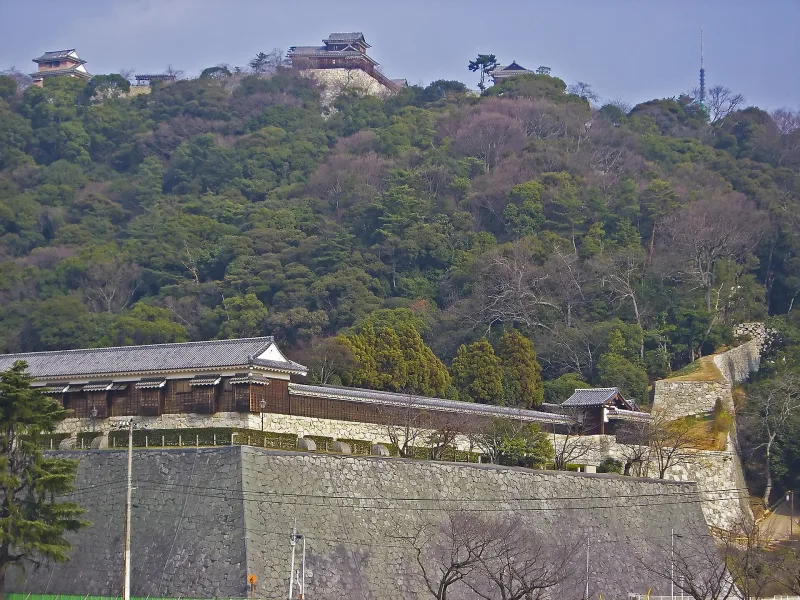 Matsuyama Castle's keep on top of the wooded hill, with stone walls and a turret below