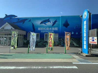 Front of Echizen Matsushima Aquarium with dolphins and whales painted on its blue walls
