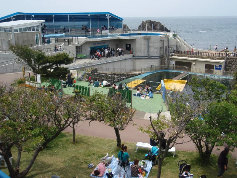 Aquarium grounds with pools and lawn beside the Sea of Japan at Echizen Matsushima