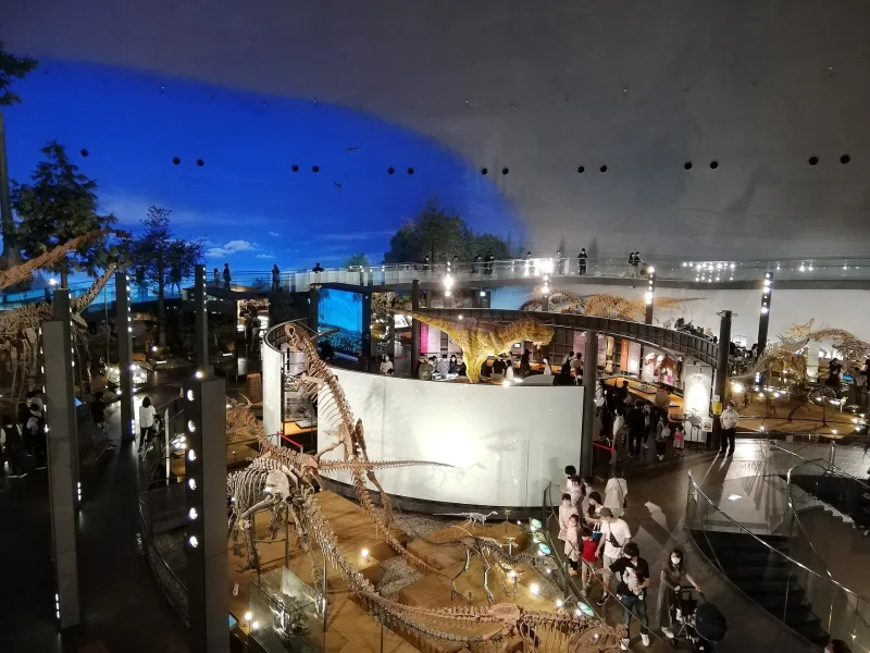Large exhibition hall of the Fukui Prefectural Dinosaur Museum with many dinosaur skeletons under a painted sky