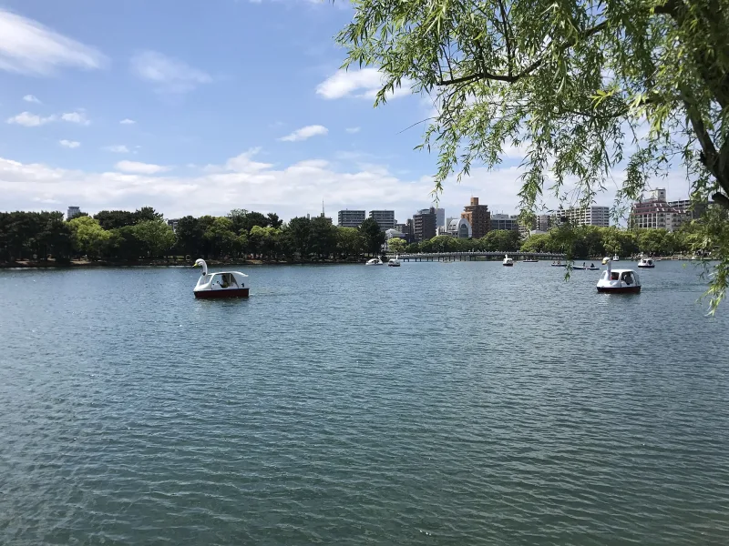 Pond of Ohori Park with small boats, willow branches and the city skyline