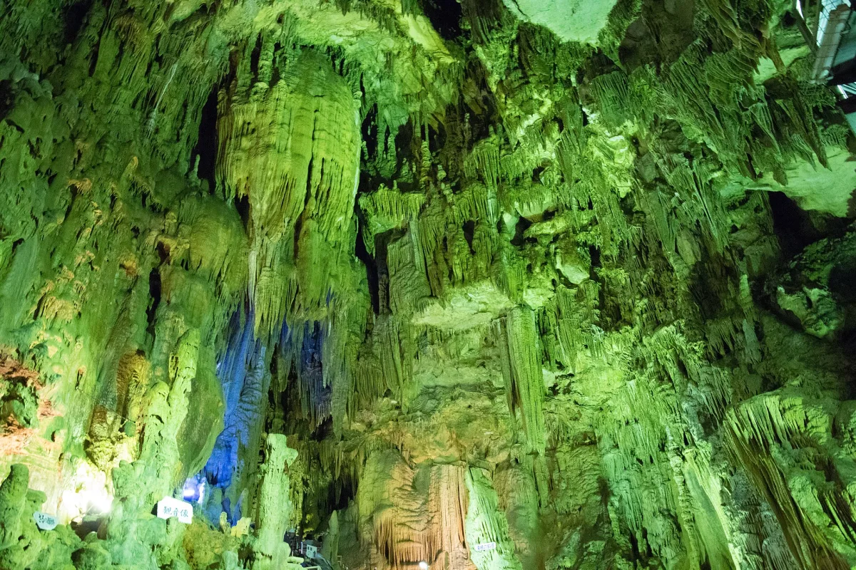 Green-lit stalactites and flowstone covering the walls of a large chamber in Abukuma Cave