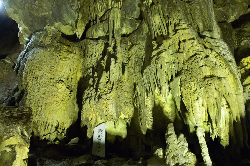 Curtains of stalactites lit in soft yellow light inside Abukuma Cave