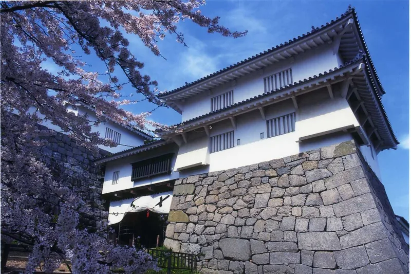 Nihonmatsu Castle turret on a stone wall framed by cherry blossoms in Kasumigajo Park