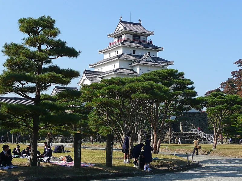 Tsuruga Castle keep behind pine trees in the castle park on a sunny day