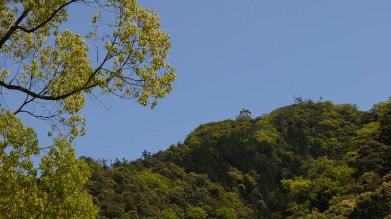 Gifu Castle seen small on the wooded summit of Mount Kinka