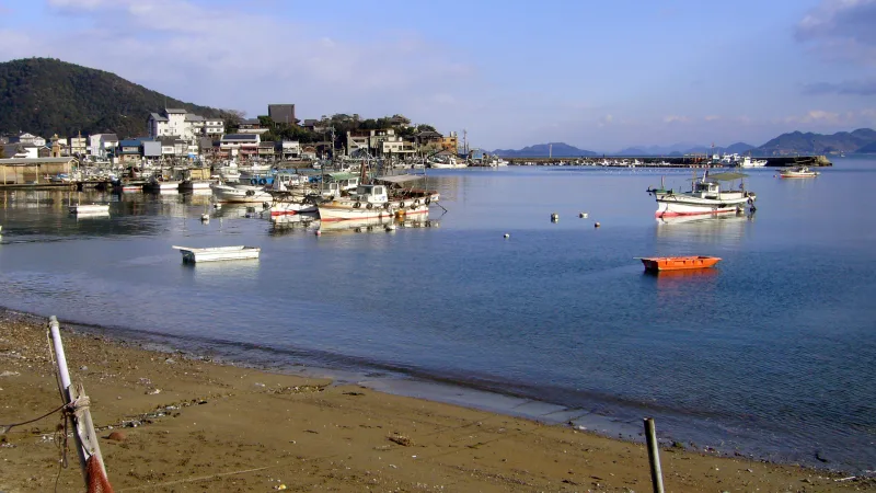 Calm water and moored boats in Tomo harbour with the old town along the shore