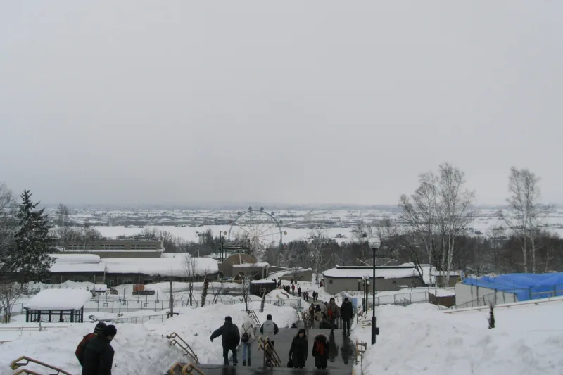 Snowy paths of Asahiyama Zoo running down a gentle hillside, with Asahikawa city beyond