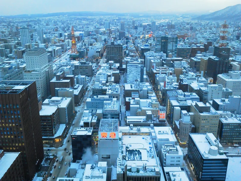 Snowy grid of central Sapporo seen from high above, with the TV tower in the distance