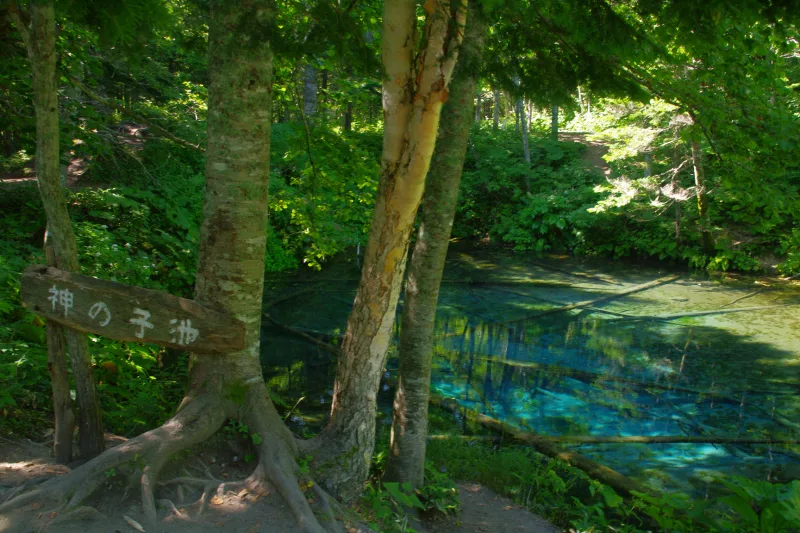 Kaminoko Pond in Kiyosato, with its clear blue water and forested surroundings.