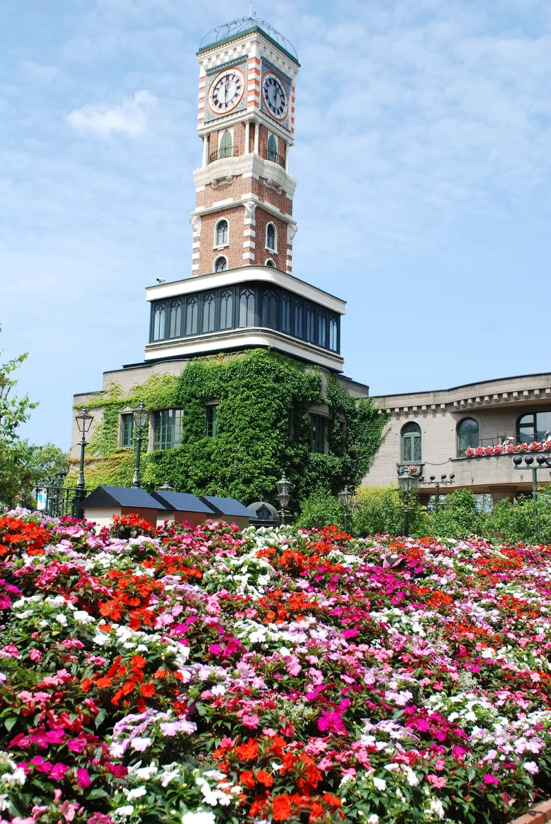Clock tower of Shiroi Koibito Park behind a bed of colourful summer flowers
