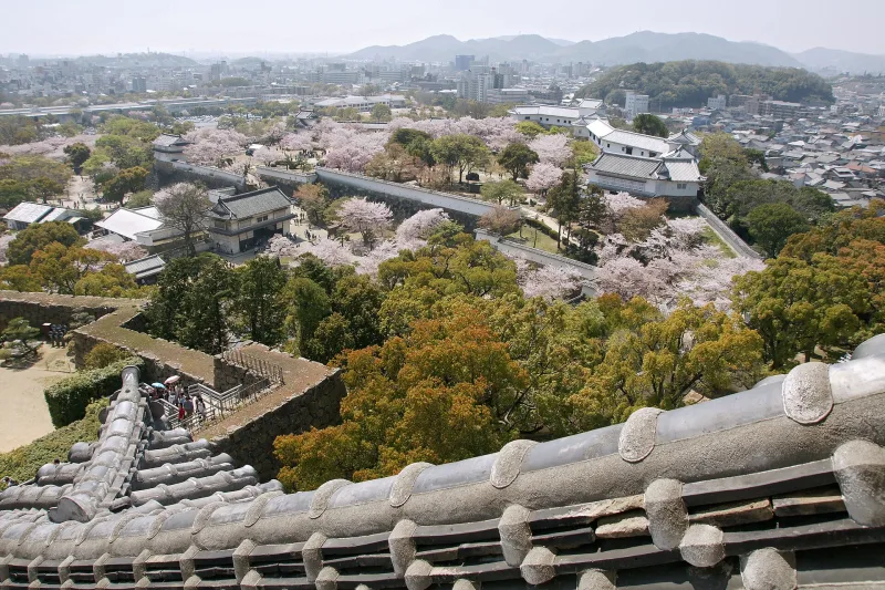 View from the castle over tiled roofs, cherry trees and the city of Himeji