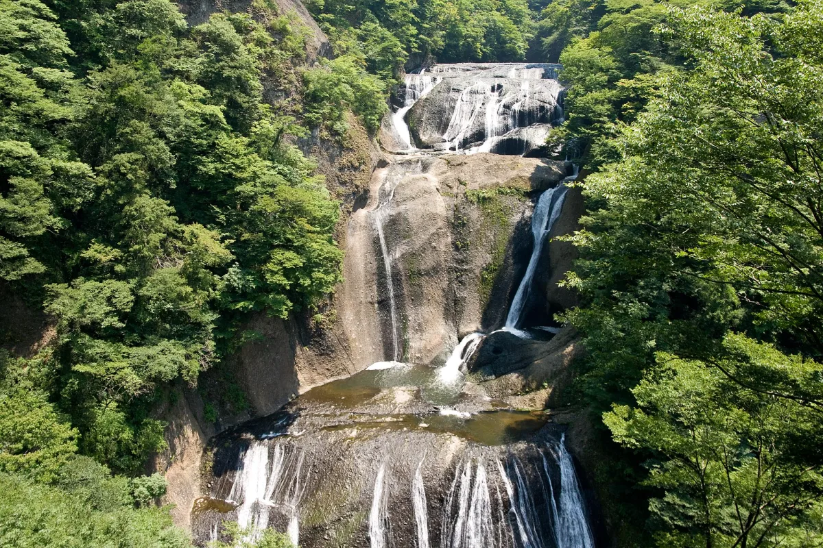 The four tiers of Fukuroda Falls cascading down a rock face surrounded by green forest