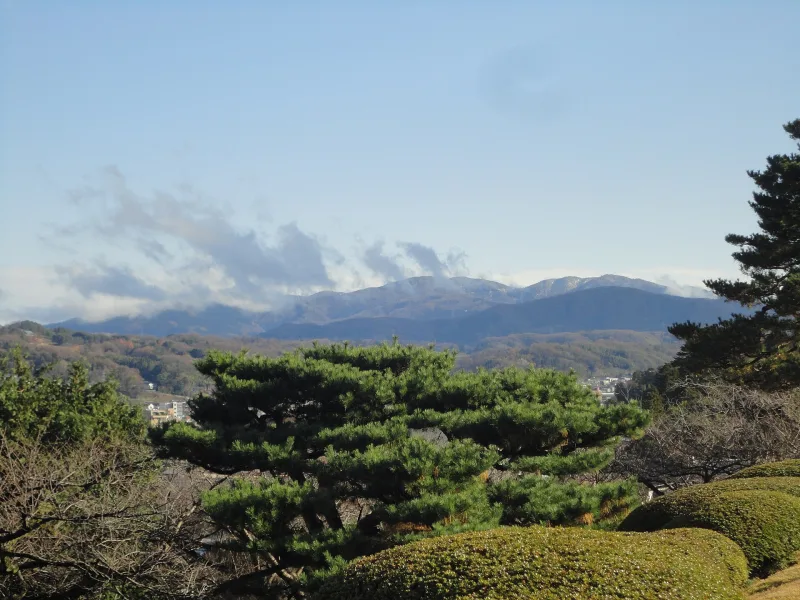Pine trees in Kenroku-en with a distant view of mountains beyond Kanazawa