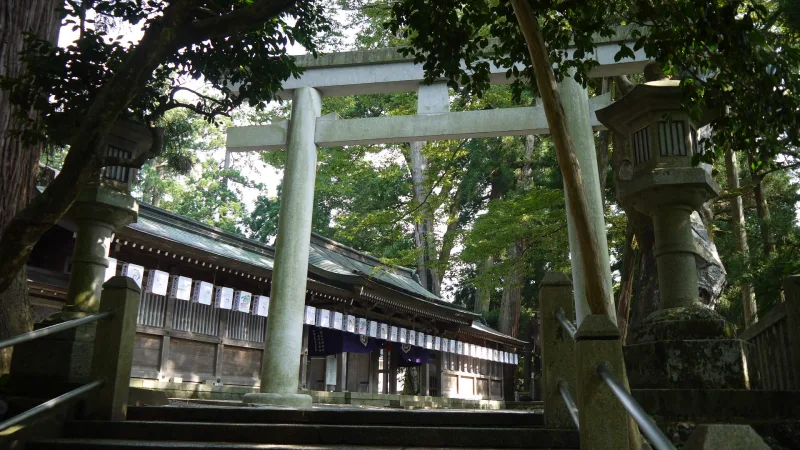 Stone torii gate and lanterns on a shaded path at Shirayama Hime Shrine