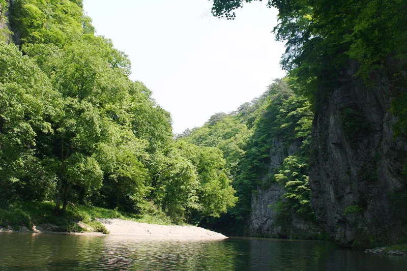 Calm river curving past a sheer grey cliff and green forest in Geibikei Gorge