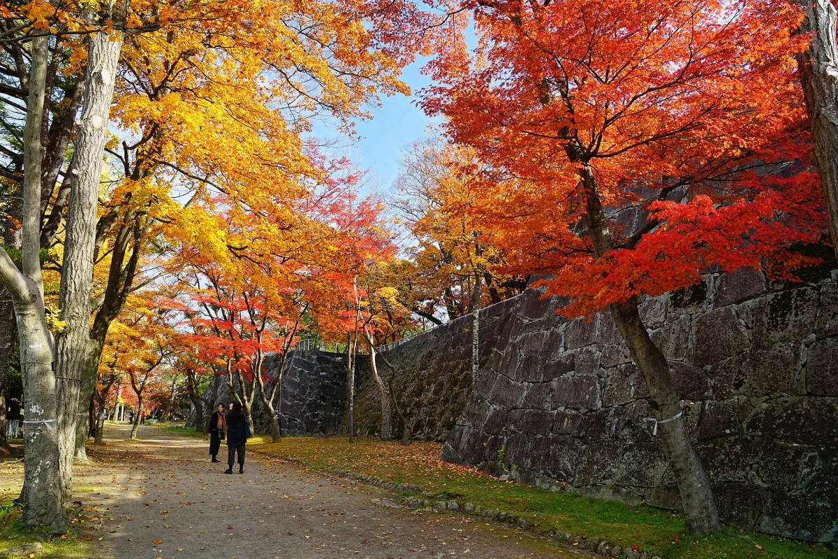 Path lined with red and yellow autumn maples beside the stone walls of Morioka Castle