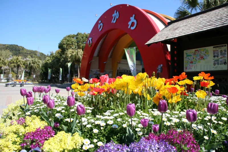 The red arched entrance gate of Hirakawa Zoological Park with tulips in bloom