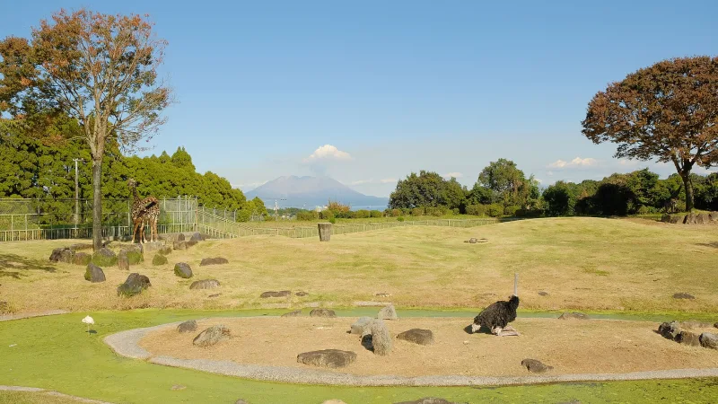 A grassy animal enclosure at Hirakawa Zoological Park with Sakurajima on the horizon