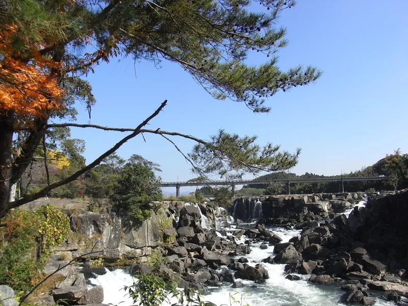 Sogi Falls seen through pine branches and autumn leaves