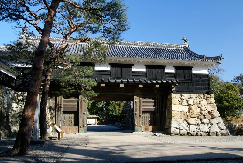The large wooden Otemon main gate of Kochi Castle set in stone walls, framed by pine trees
