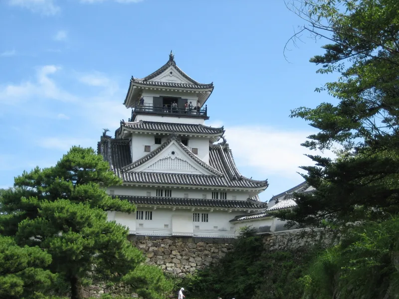 The white multi-roofed keep of Kochi Castle above stone walls and pine trees