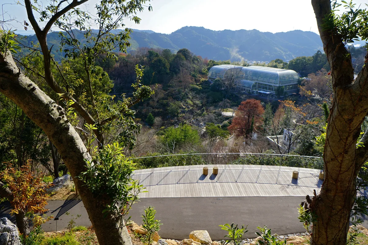 View over the wooded hills of Makino Botanical Garden with the glass greenhouse and mountains beyond