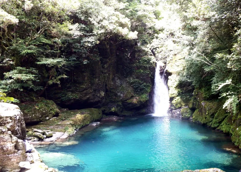 Turquoise water of Nikobuchi pool below a small waterfall, framed by forest