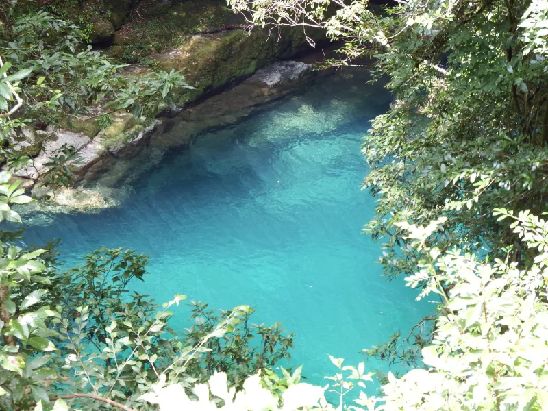 Looking down through green leaves onto the clear blue pool of Nikobuchi