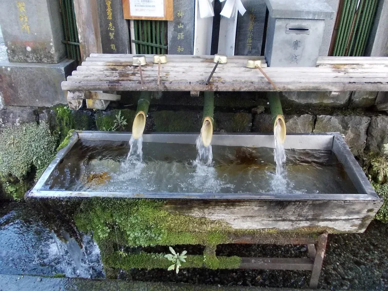 Spring water pouring from bamboo spouts into a stone basin at Aso Shrine