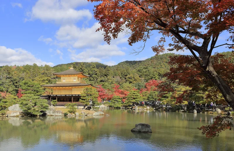 Kinkaku-ji's Golden Pavilion across the pond, framed by red autumn maple leaves