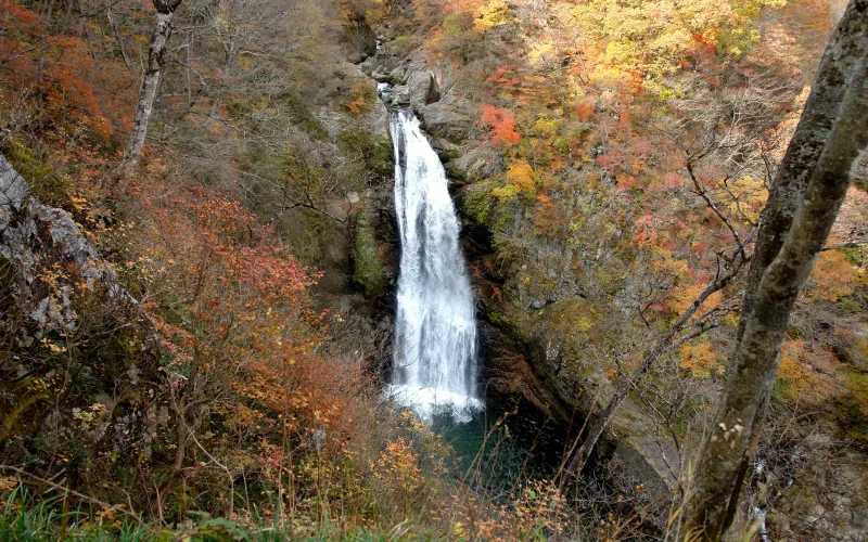 Akiu Great Falls seen from above in a gorge of autumn colours