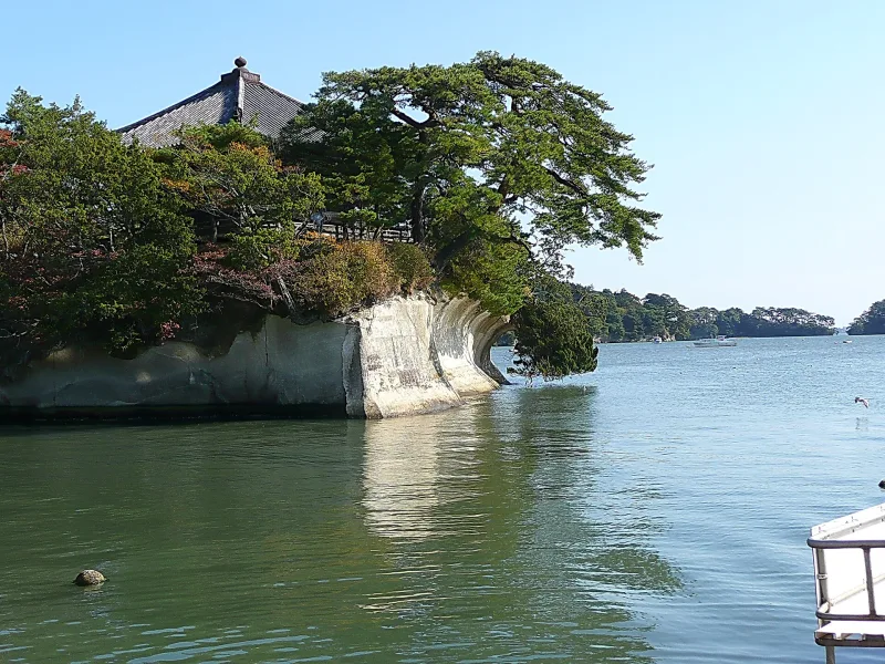 Pine-covered islet in Matsushima Bay with the roof of the Godaido hall behind the trees