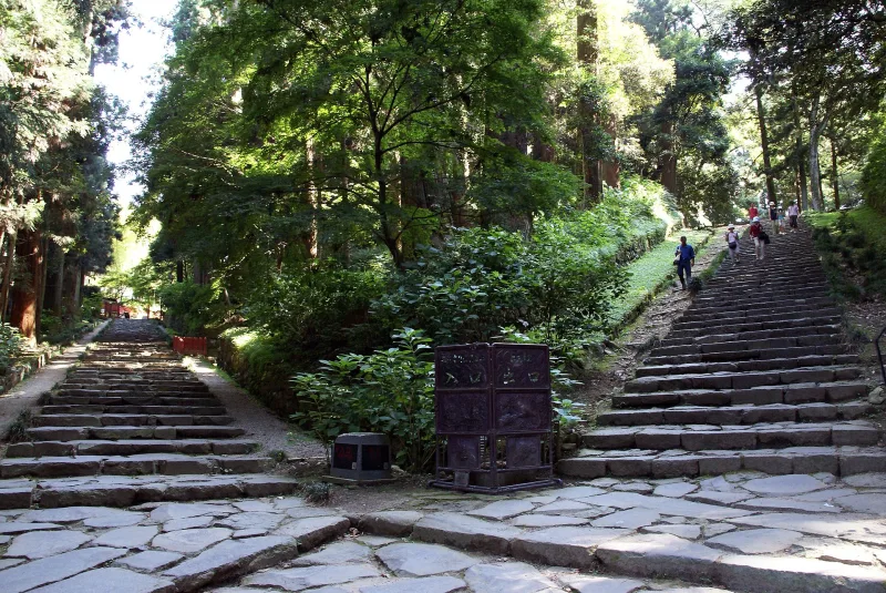 Stone stairway climbing through tall cedar trees on the approach to Zuihoden