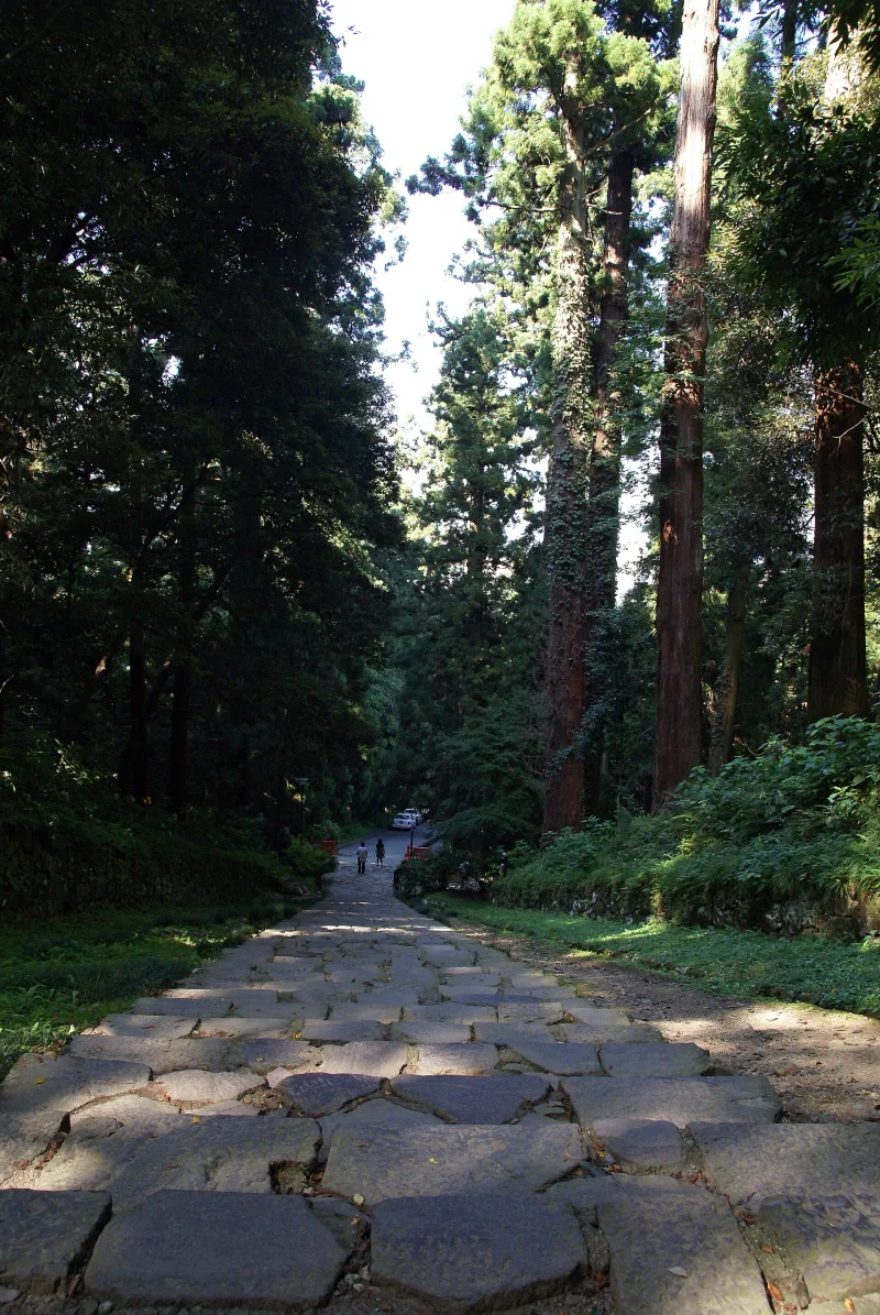 Stone-paved path lined with tall cedar trees at Zuihoden